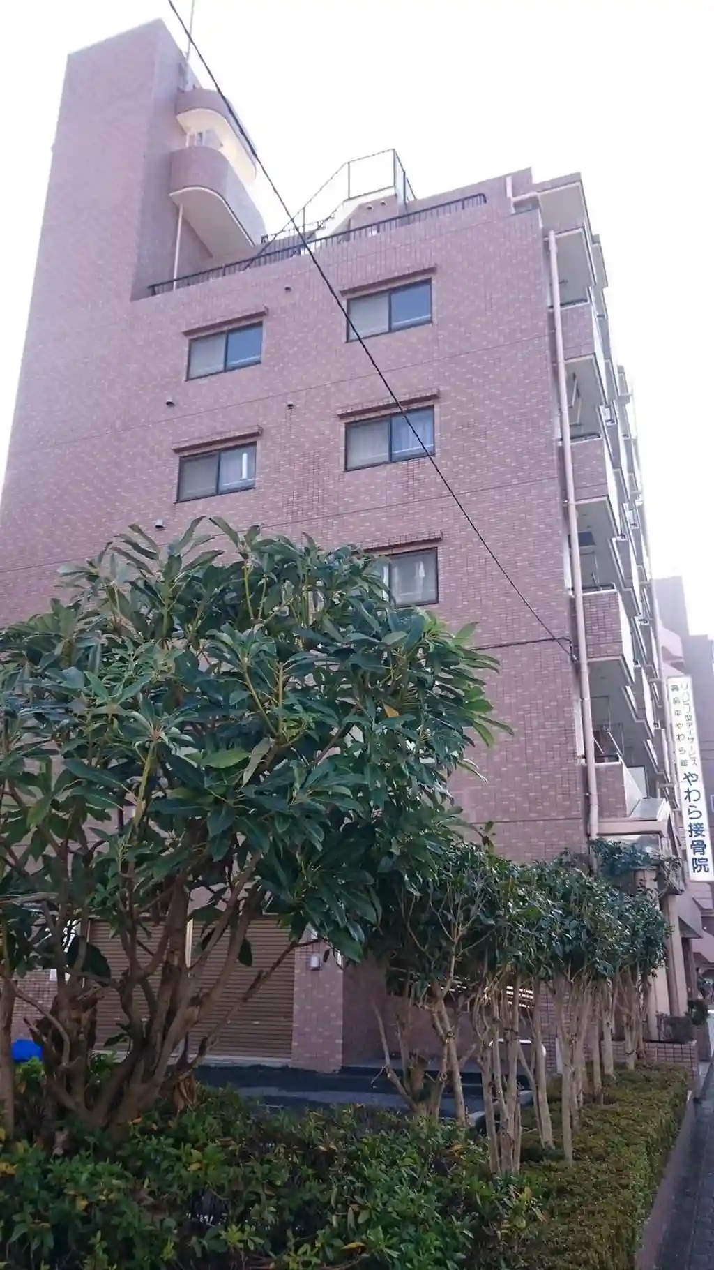 ロイヤルコーポ高島平 外観