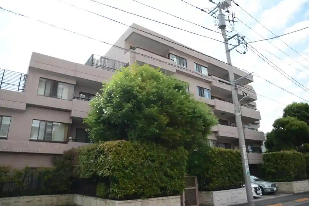 コスモ池上エクセラ 外観