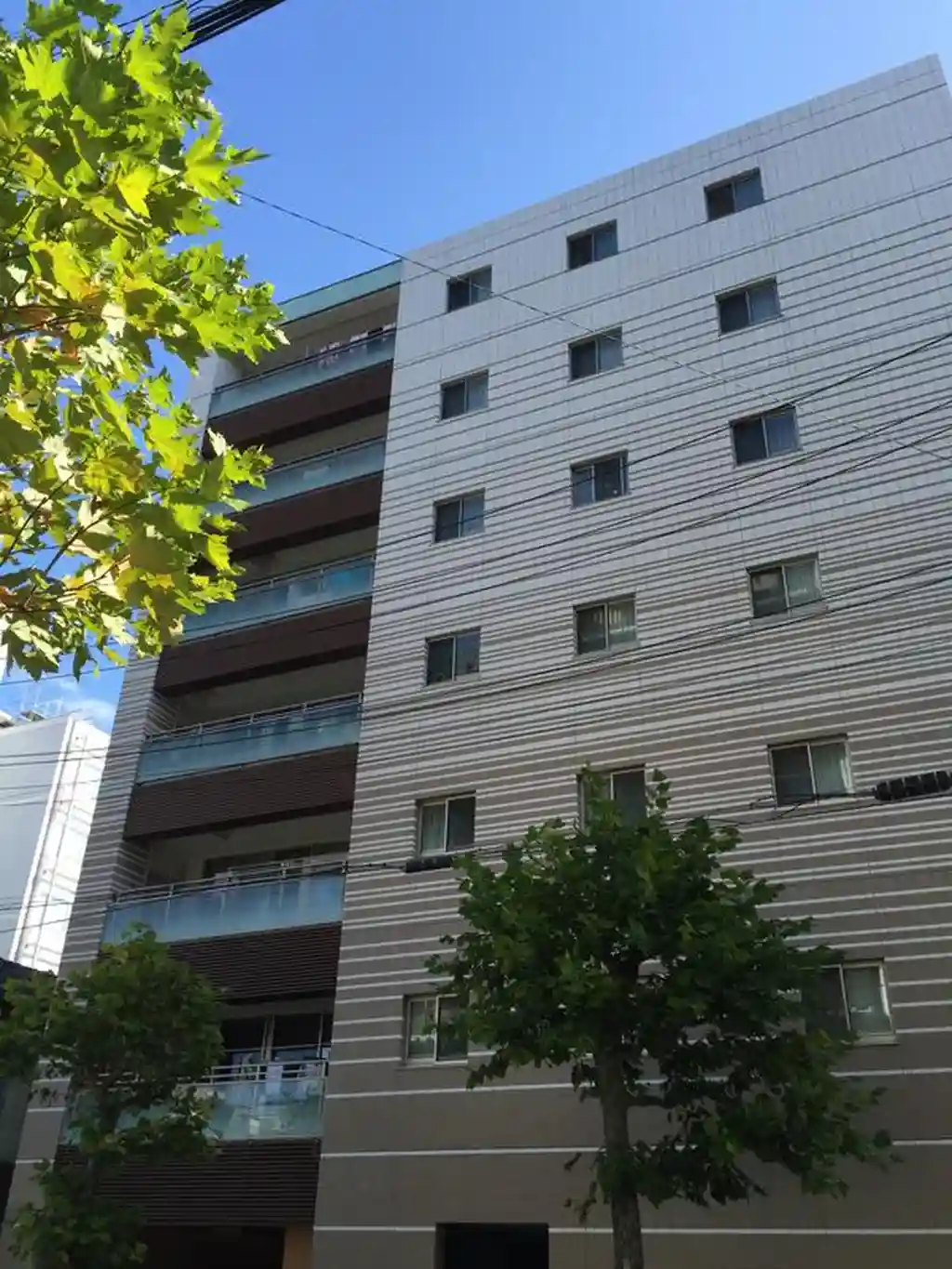 アスコットパーク両国亀沢 外観