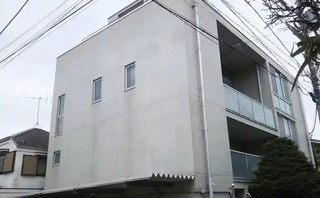 STEP 外観