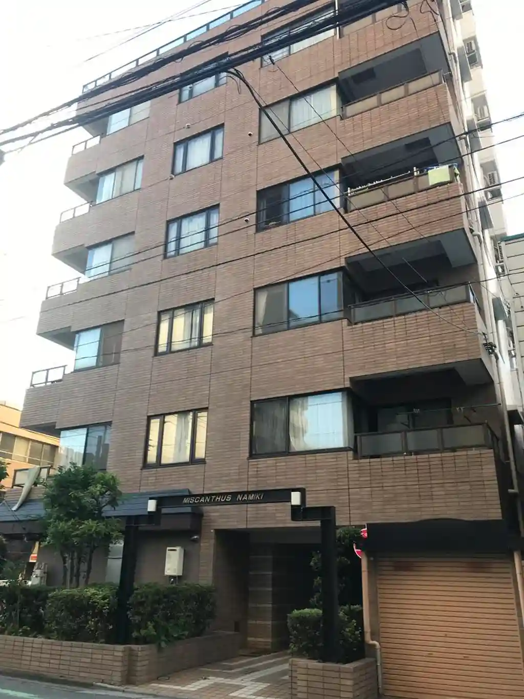 ミスカンタス並木 外観