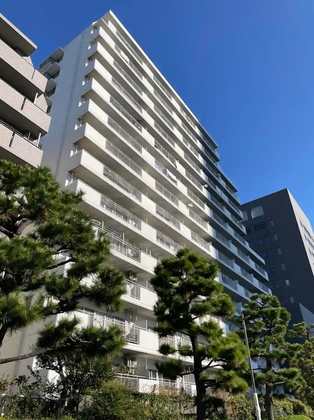 東建ニューハイツ元加賀 外観