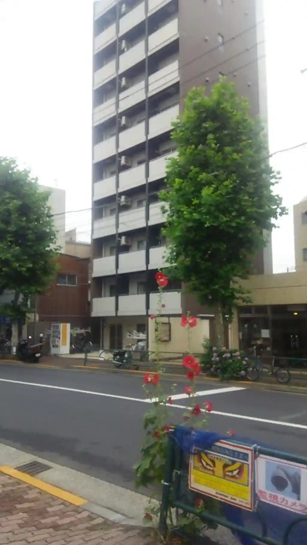 AXAS新宿中落合 外観