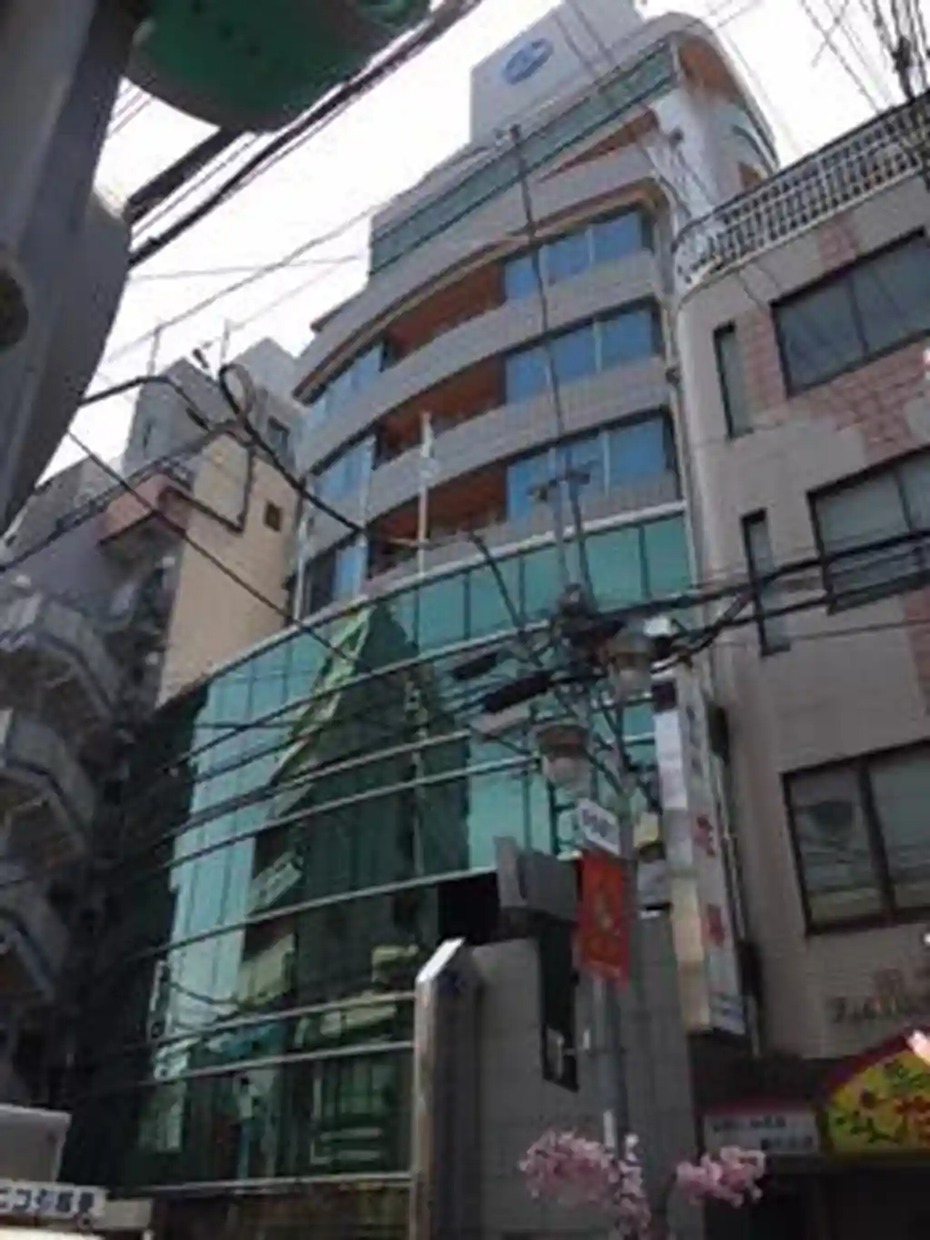 デマローデスワソン 外観