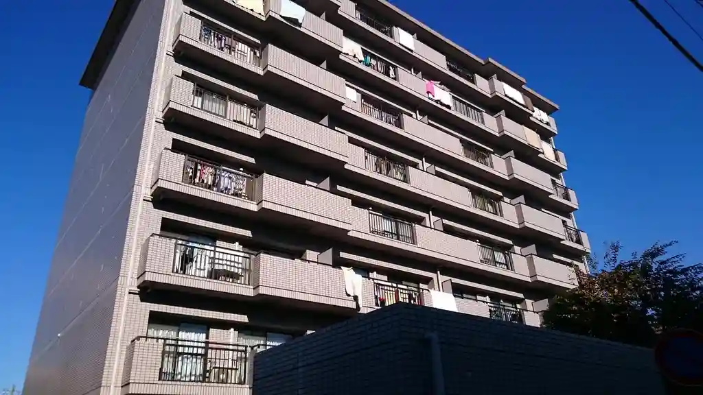 リベラル蓮根 外観