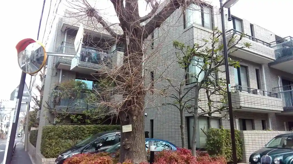 パークハイム小日向 外観
