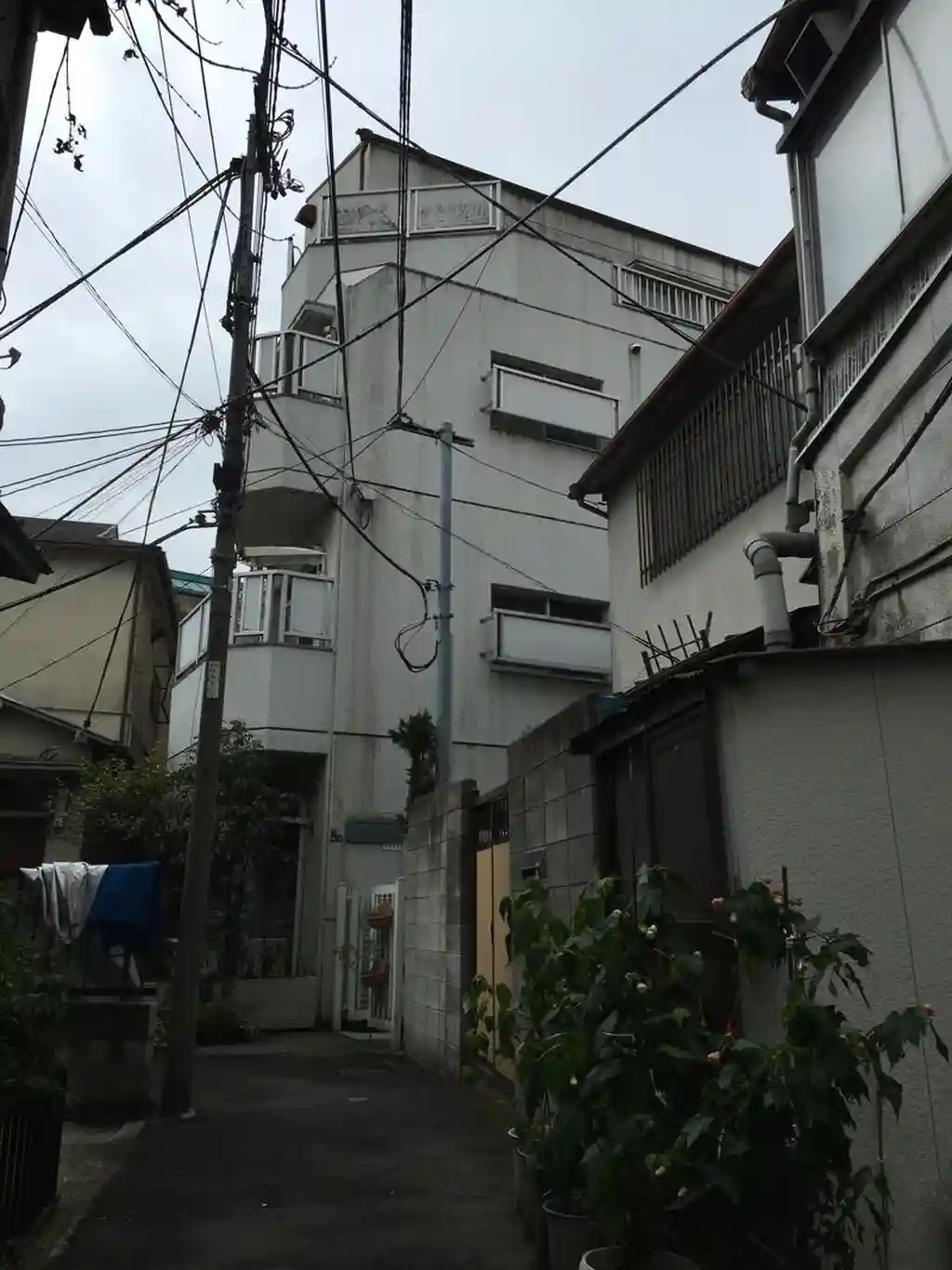 トップヒル早稲田 外観