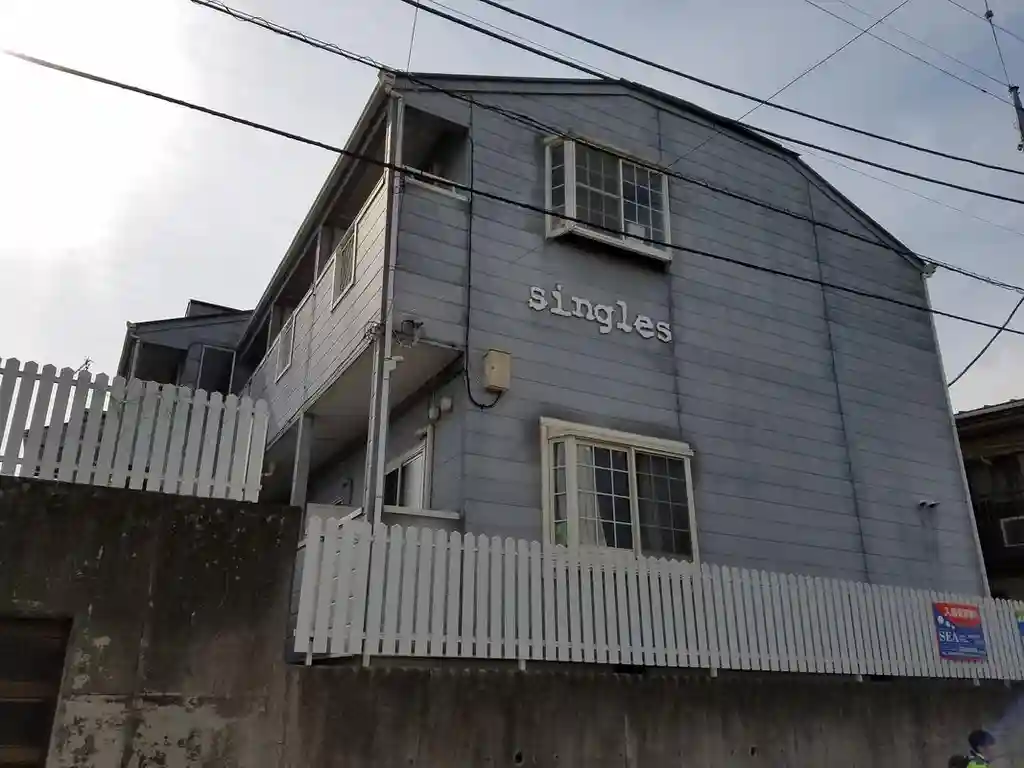 シングルス 外観