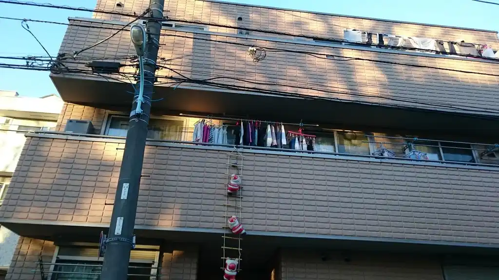 アプリコット 外観