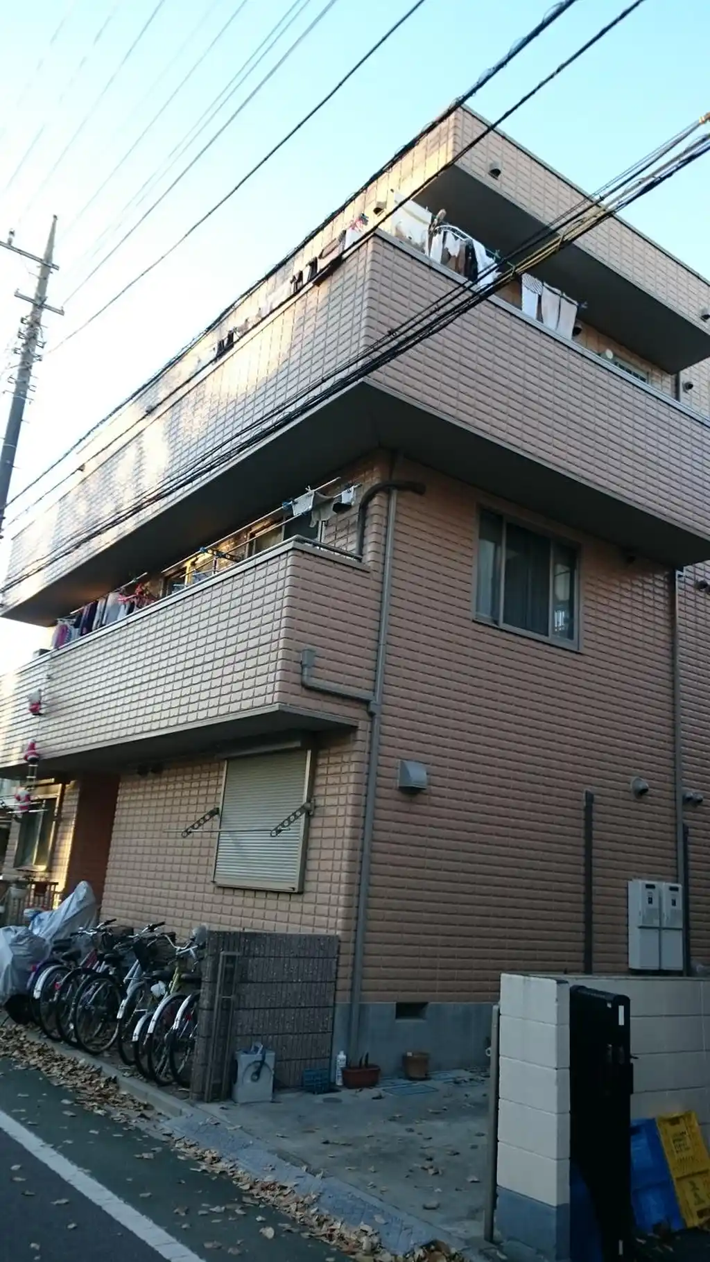 アプリコット 外観