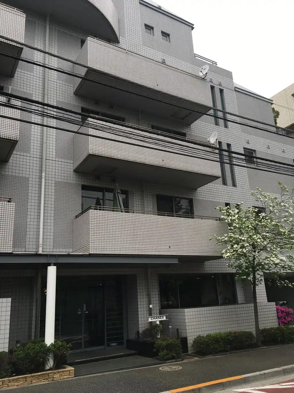CHANEX 外観
