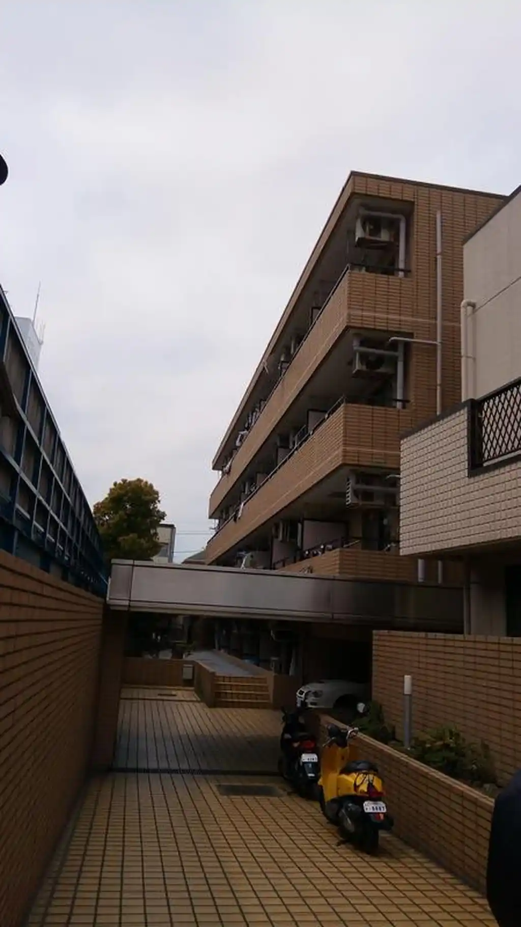 シャロン川口 外観