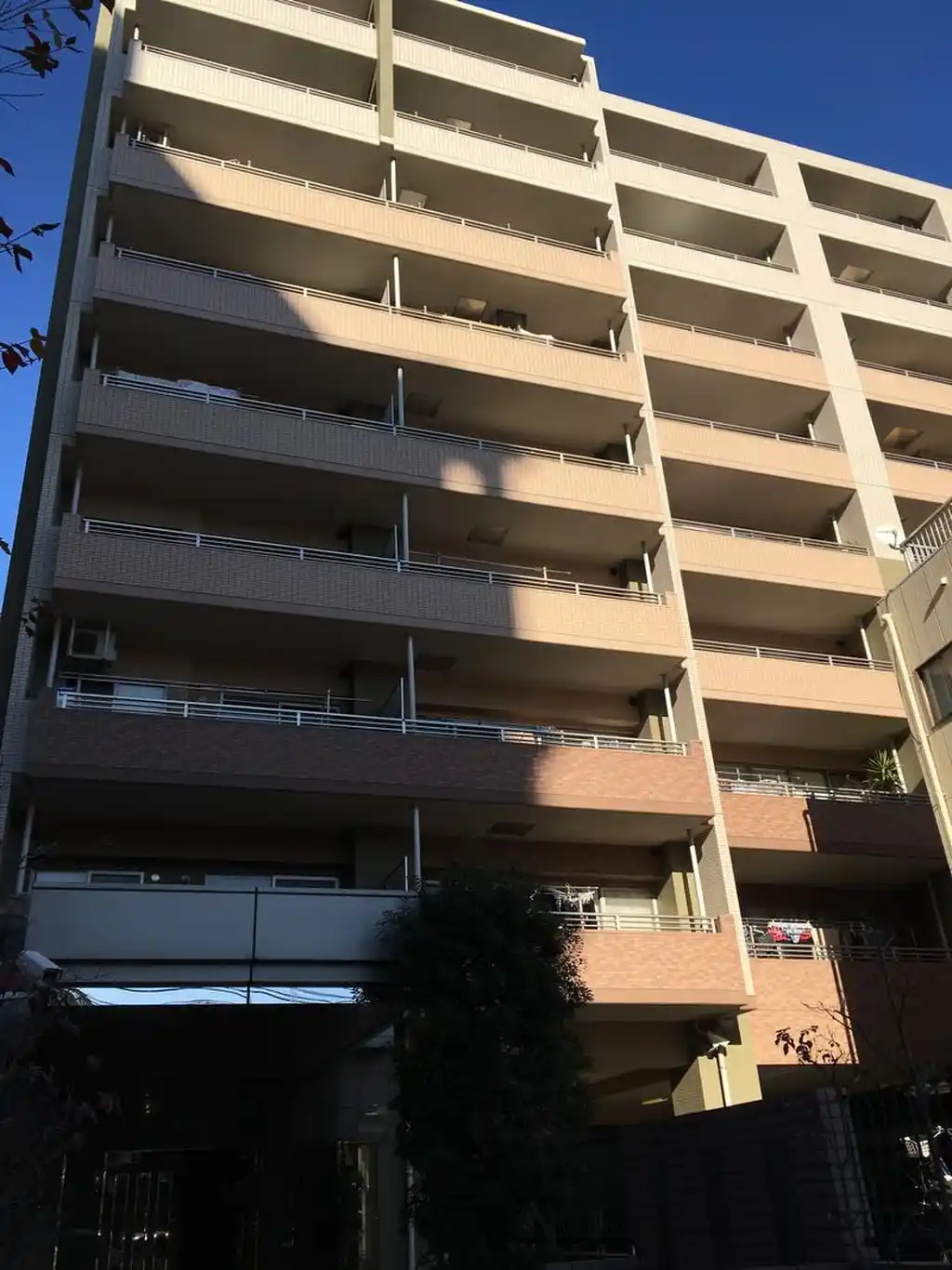 エクセレント松戸グレースフォート 外観