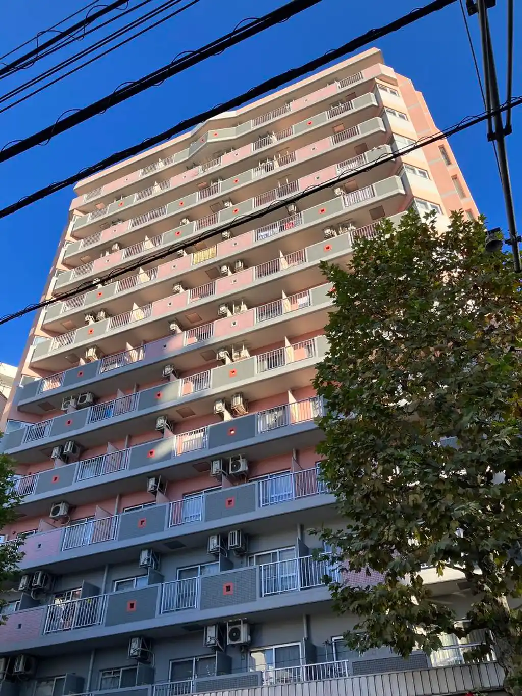 ヴェルビュ新中野 外観