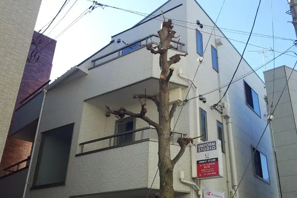 USメゾン 外観