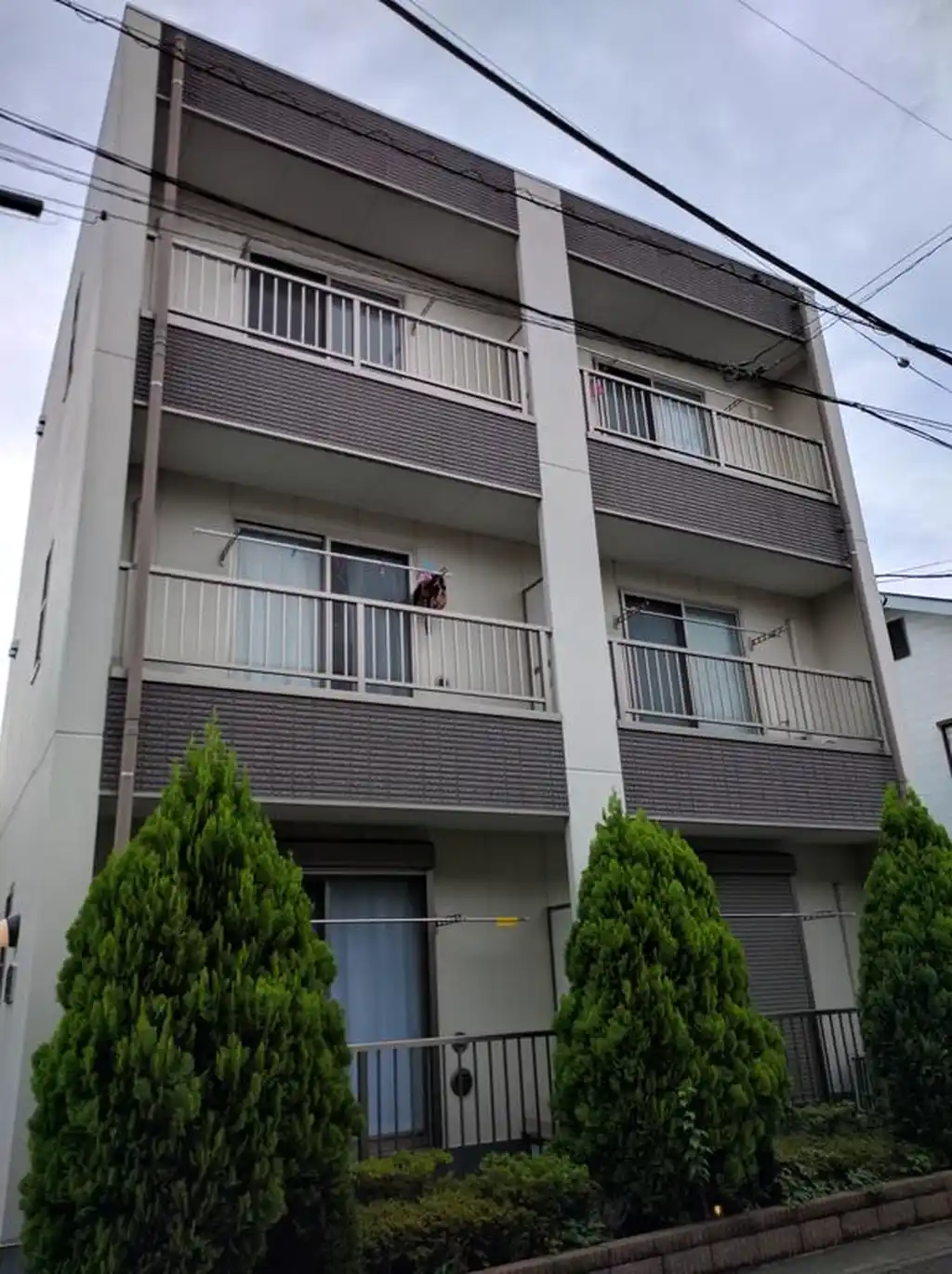 アンプルールフェールVERDE 外観