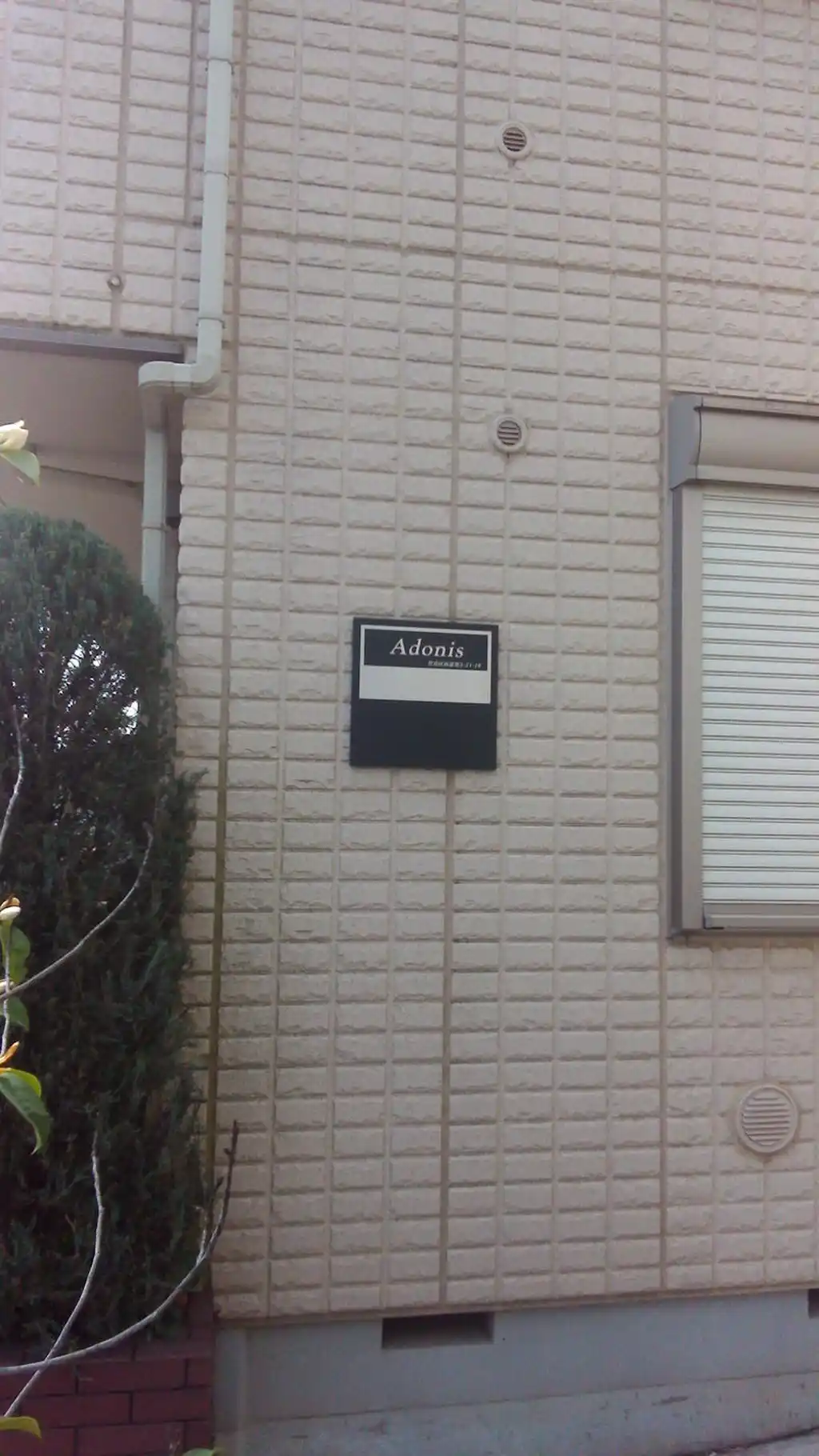 Adonis 外観