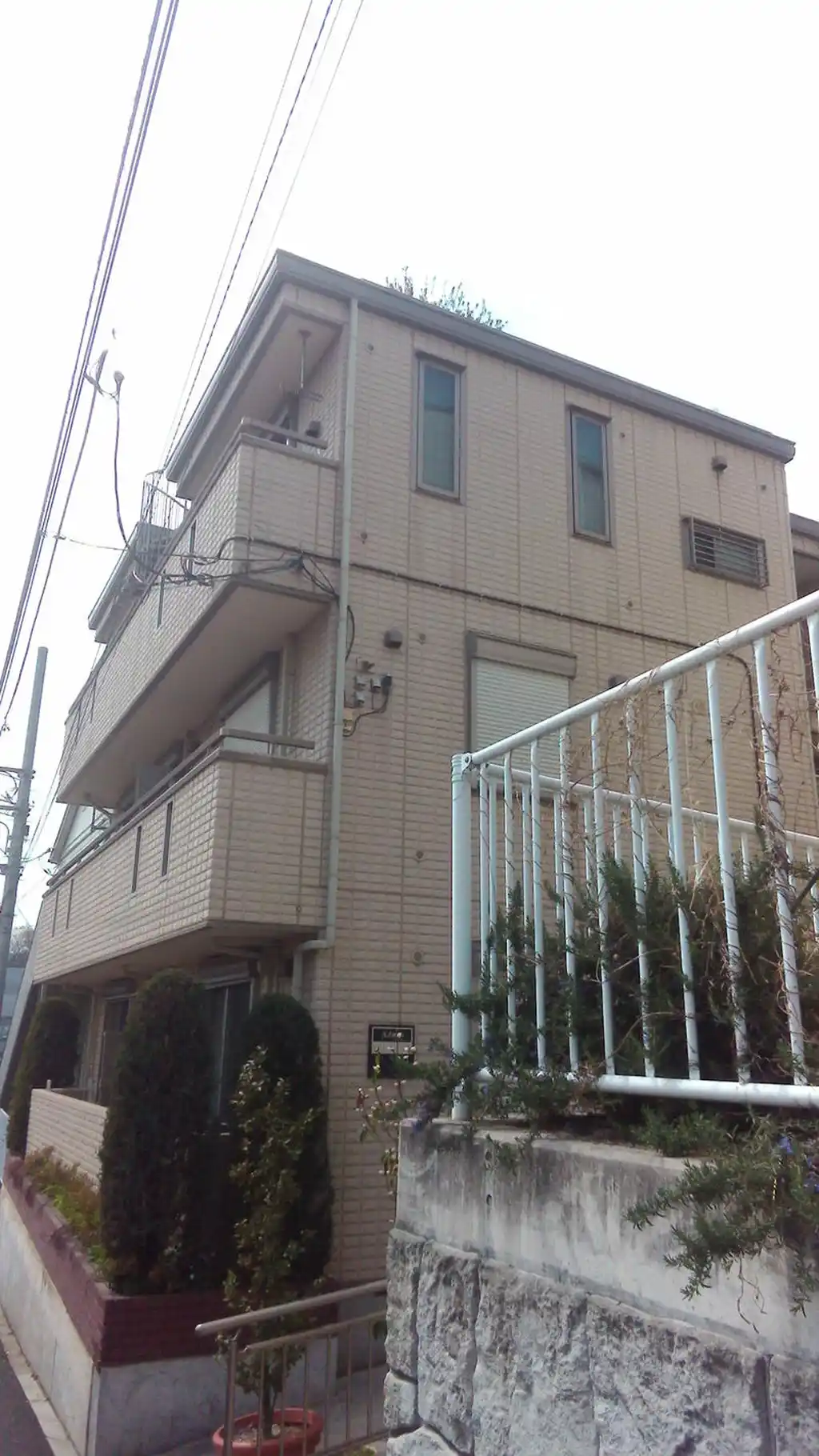 Adonis 外観