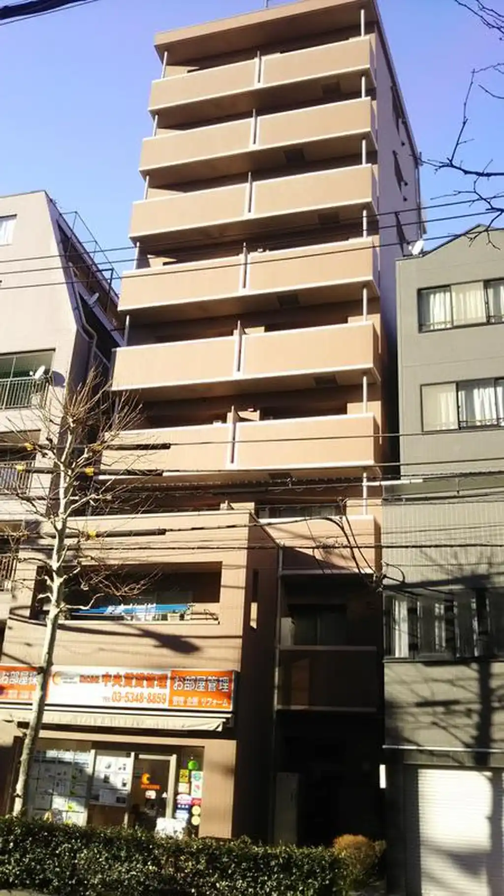 ドゥマン・ドミール 外観