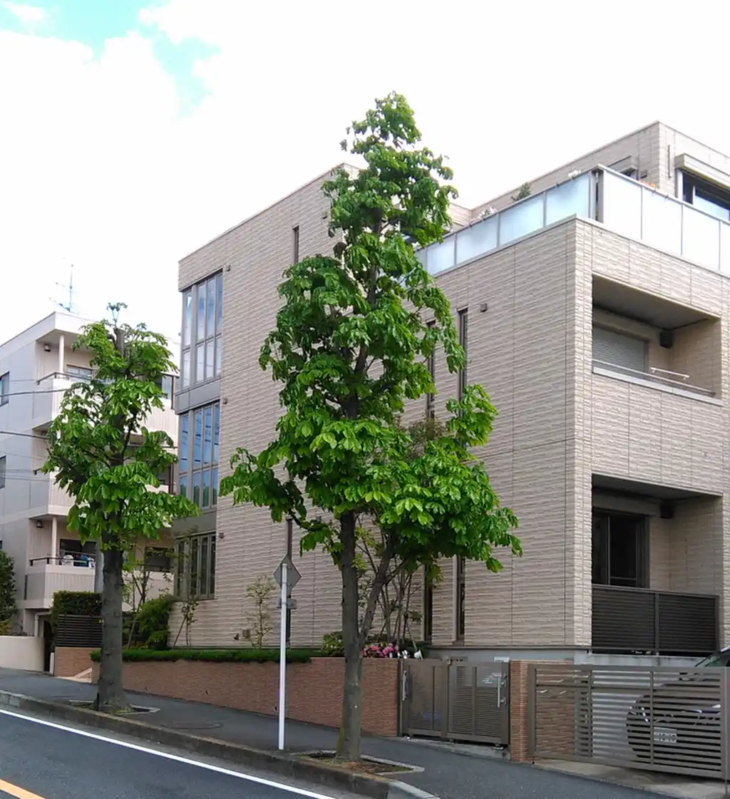 シャンドリス 外観