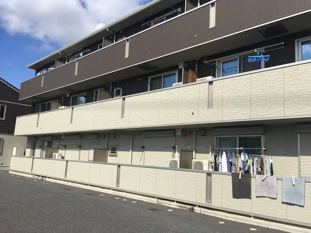 ピラタス  X 外観
