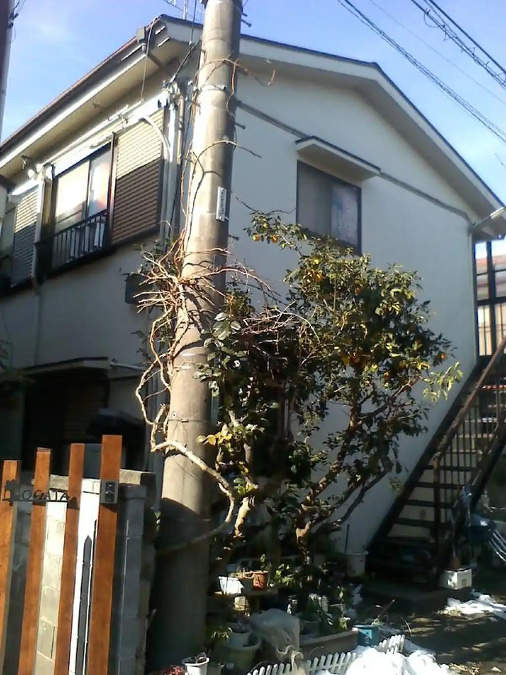 さがみハイツ 外観