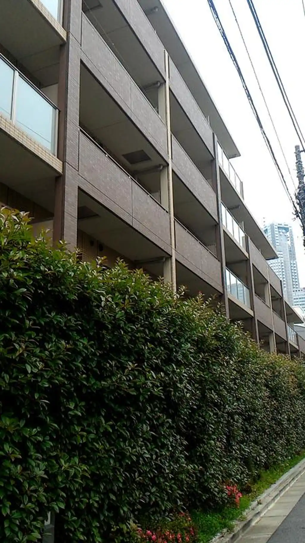 メゾンカルム西新宿 外観