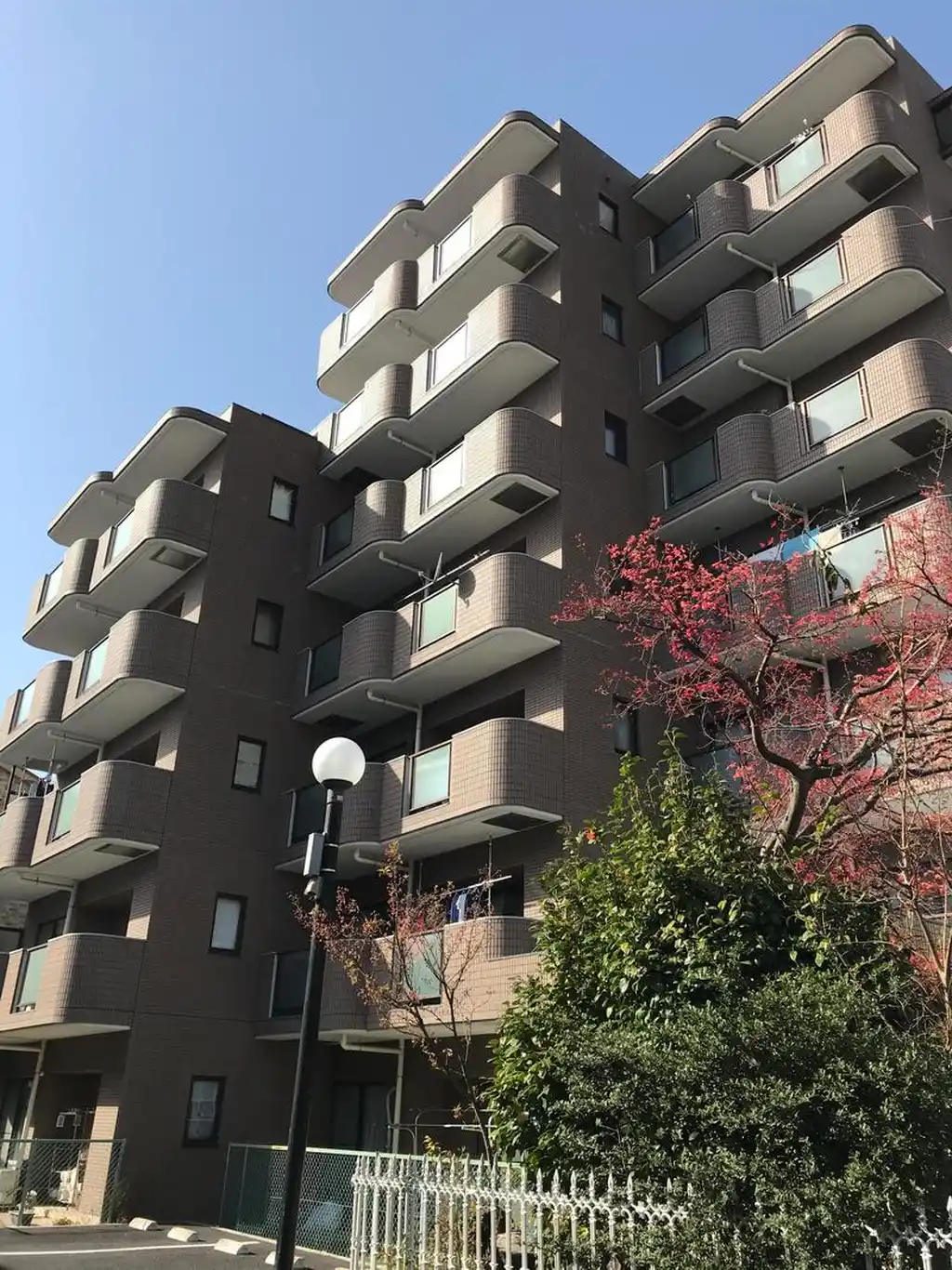 シェーンレーベン川口 外観