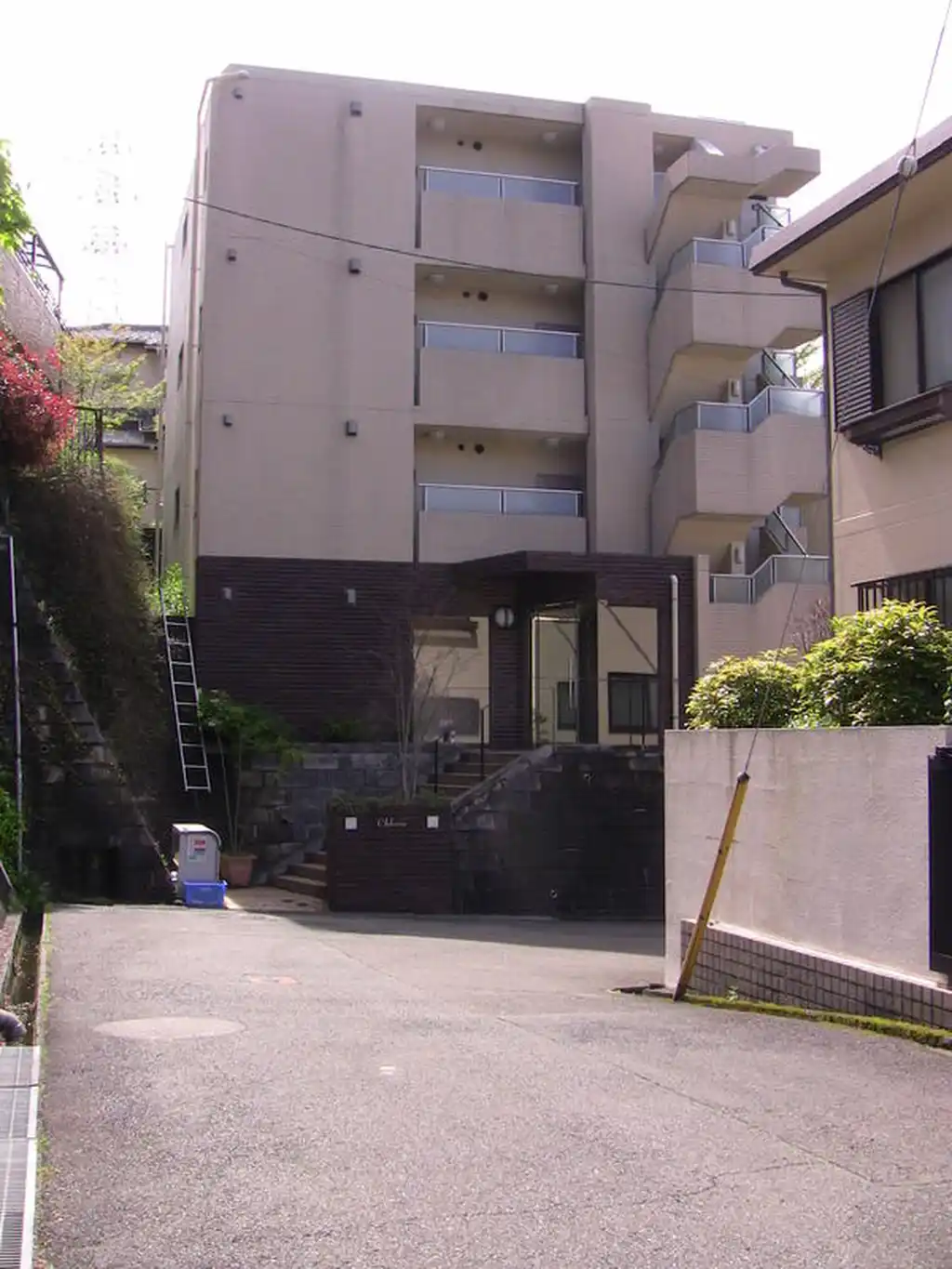 クロリス 外観