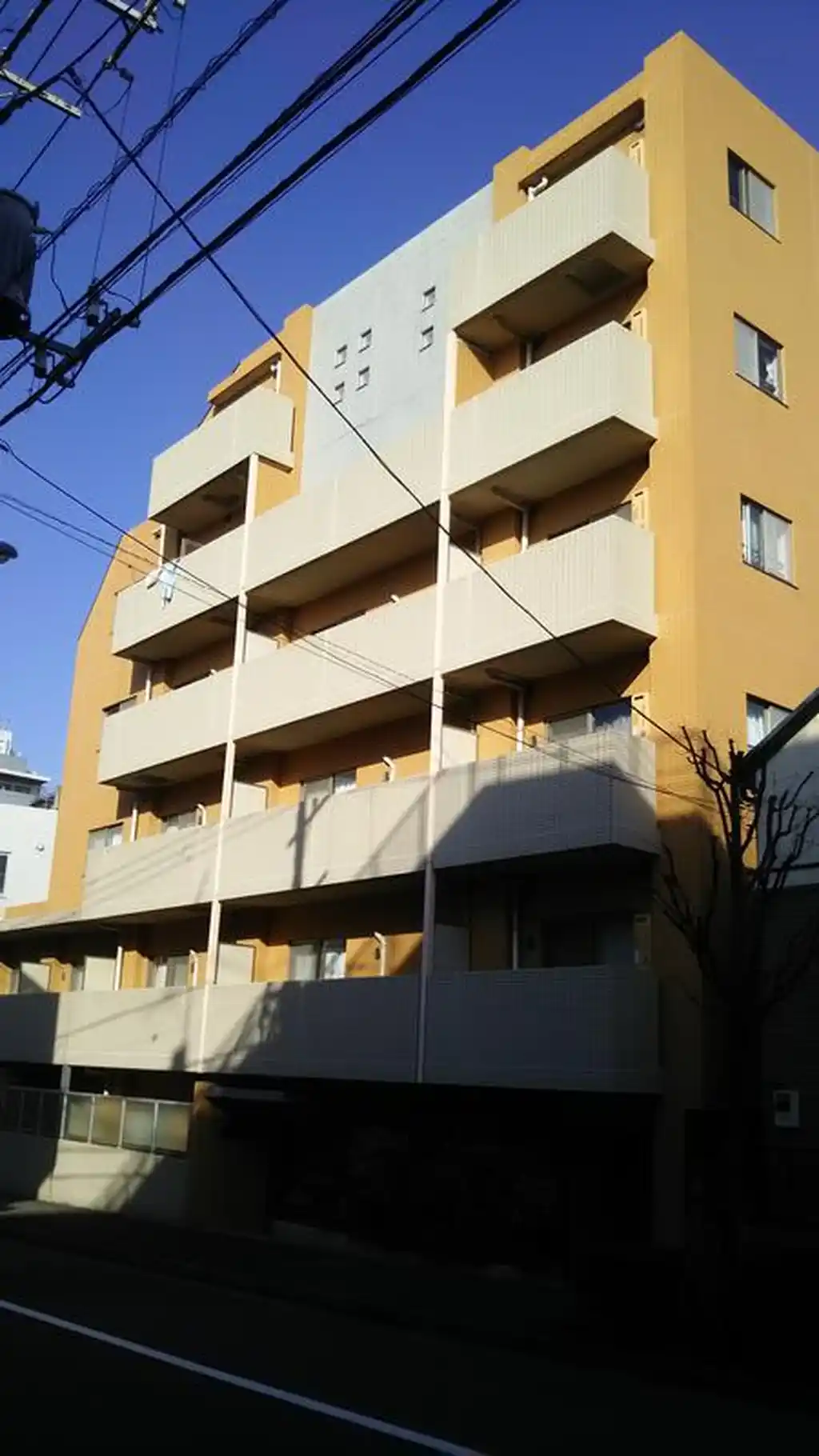 ASTEIOS 外観