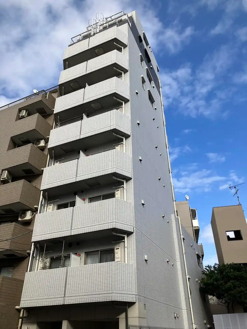 ベルグレードNS 外観