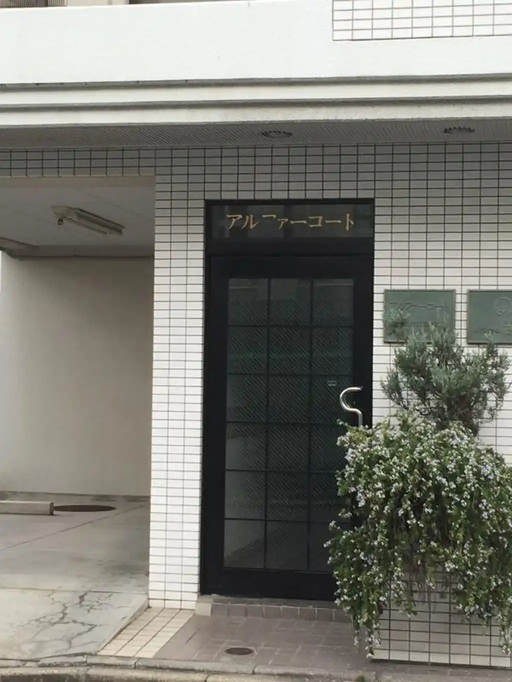 アルファーコート 外観