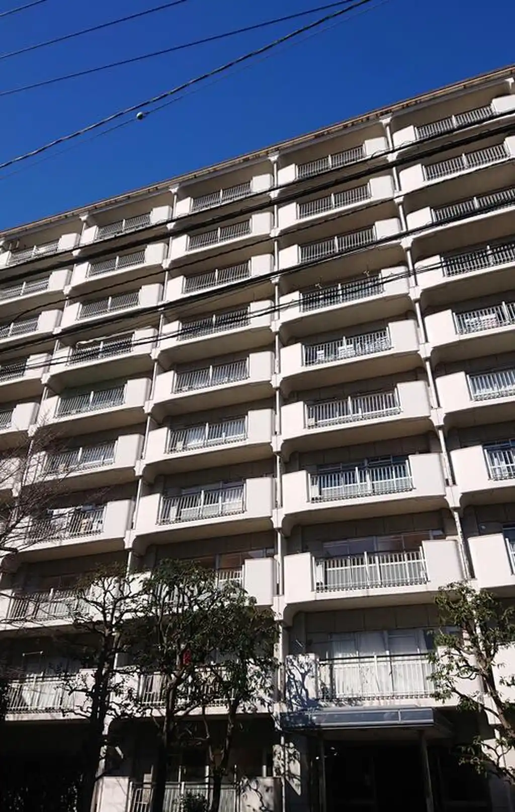 落合ホームズ 外観