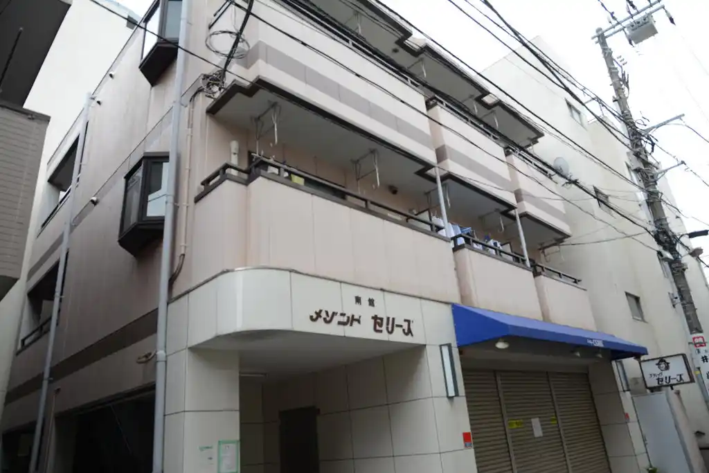 メゾンドセリーズ南館 外観