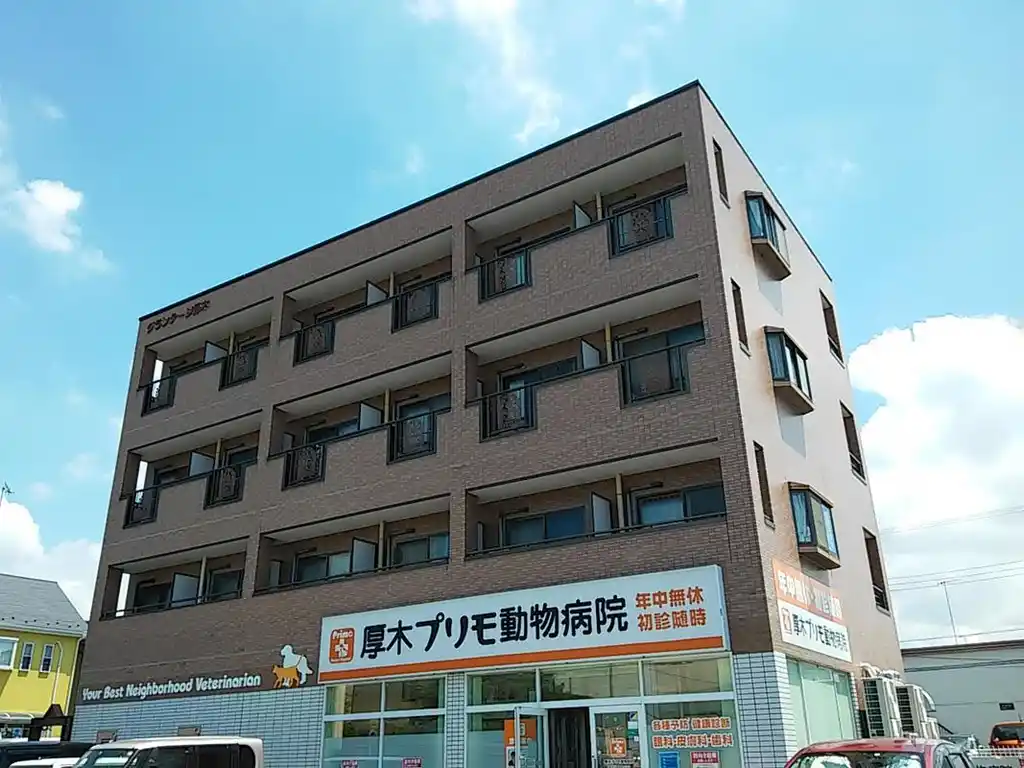 グランデージ厚木 外観