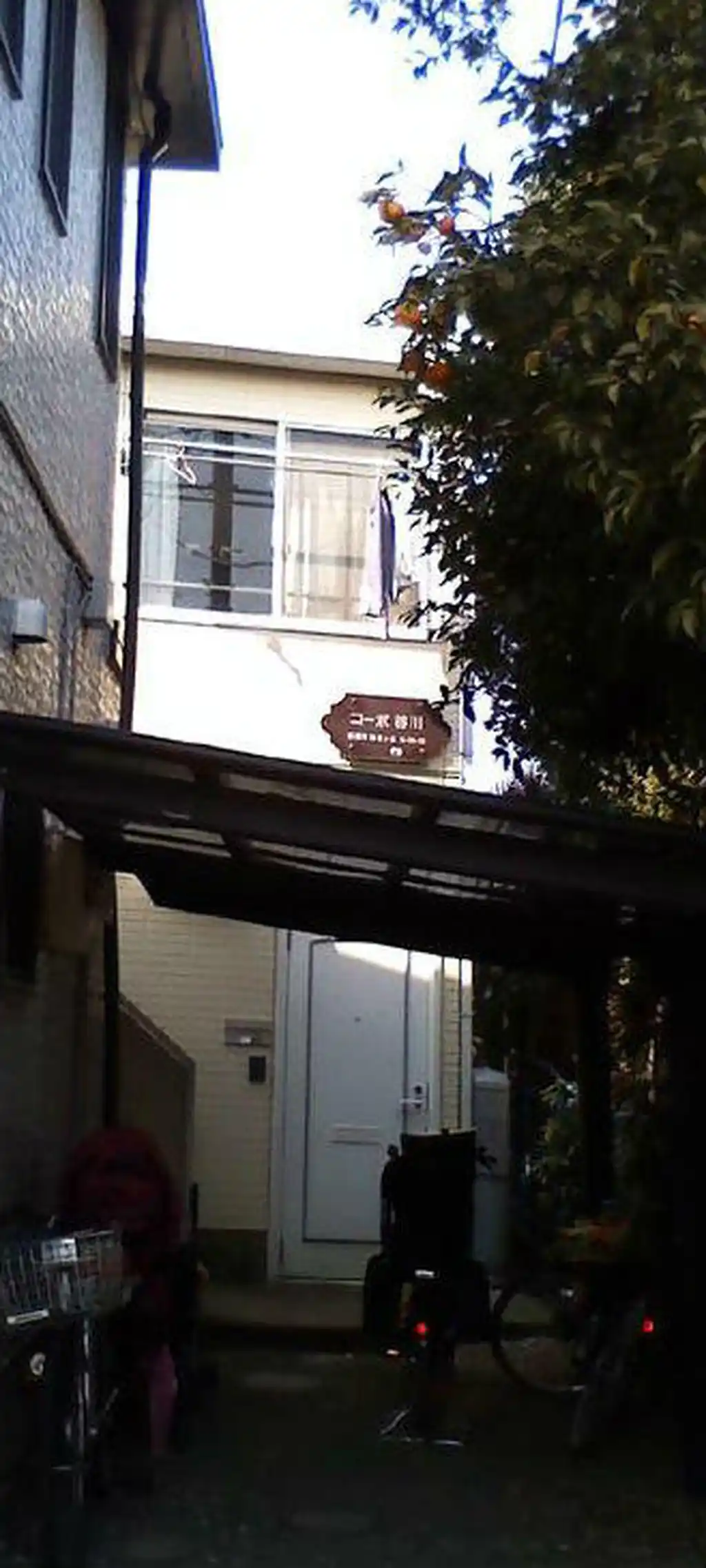 コーポ谷川 外観