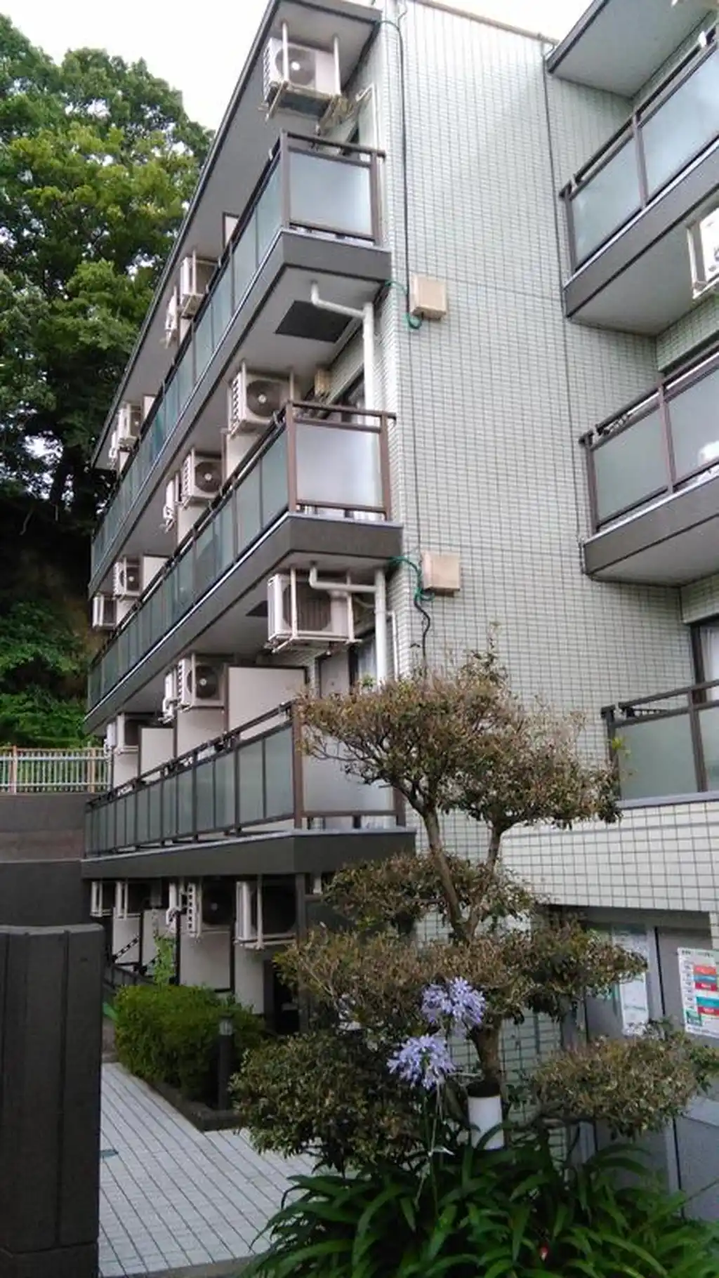 サンフラワー向ヶ丘 外観
