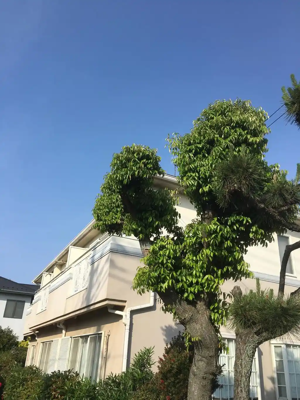 アルル鵠沼 外観