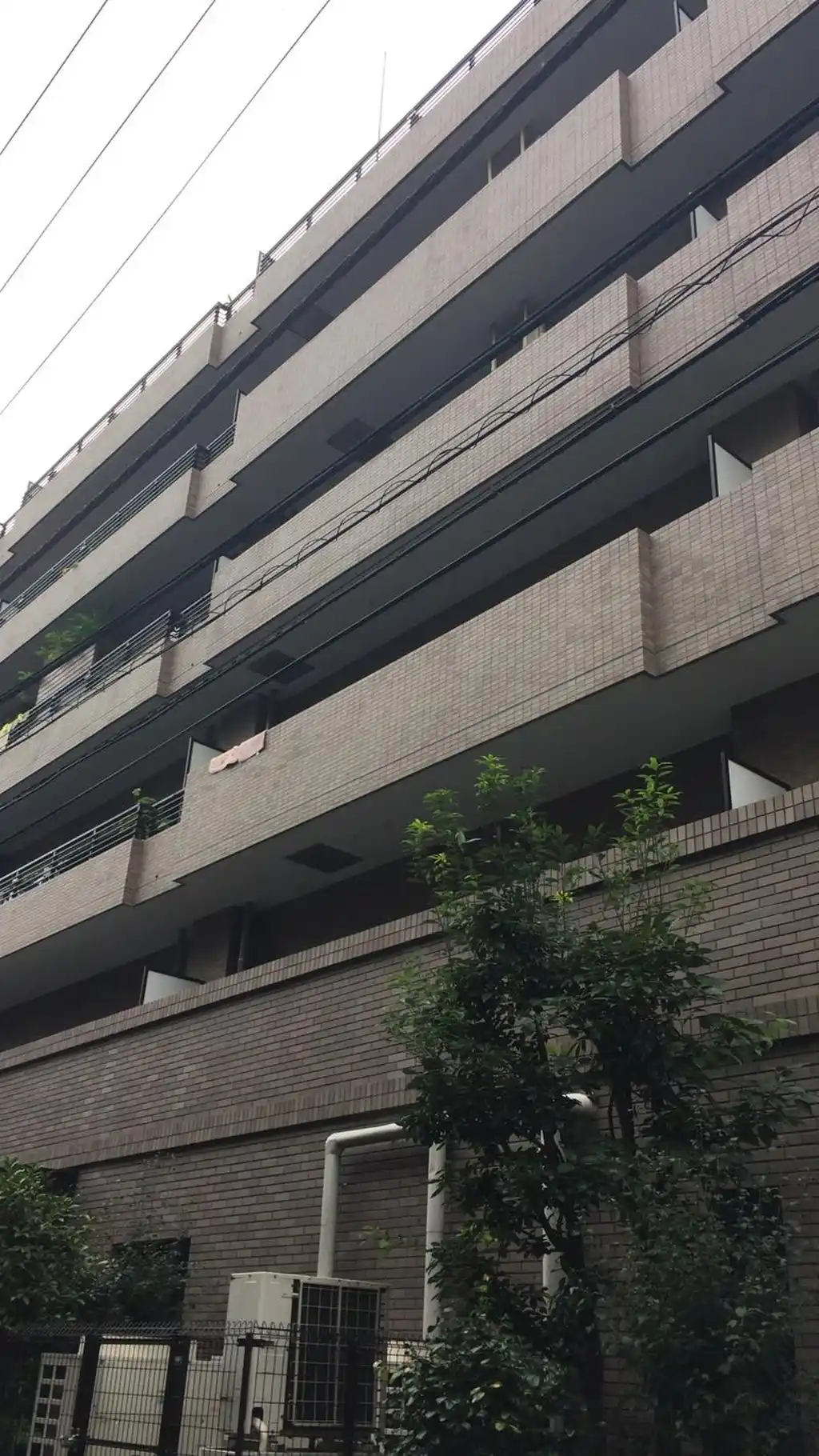 エルマーナS&Y 外観