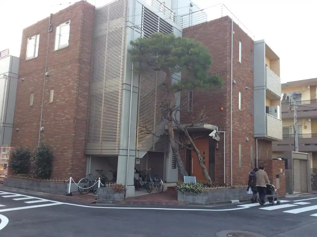 マジェスティ学芸大学 外観