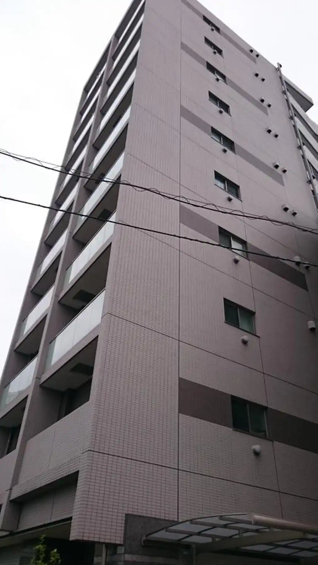 ロバストコート 外観