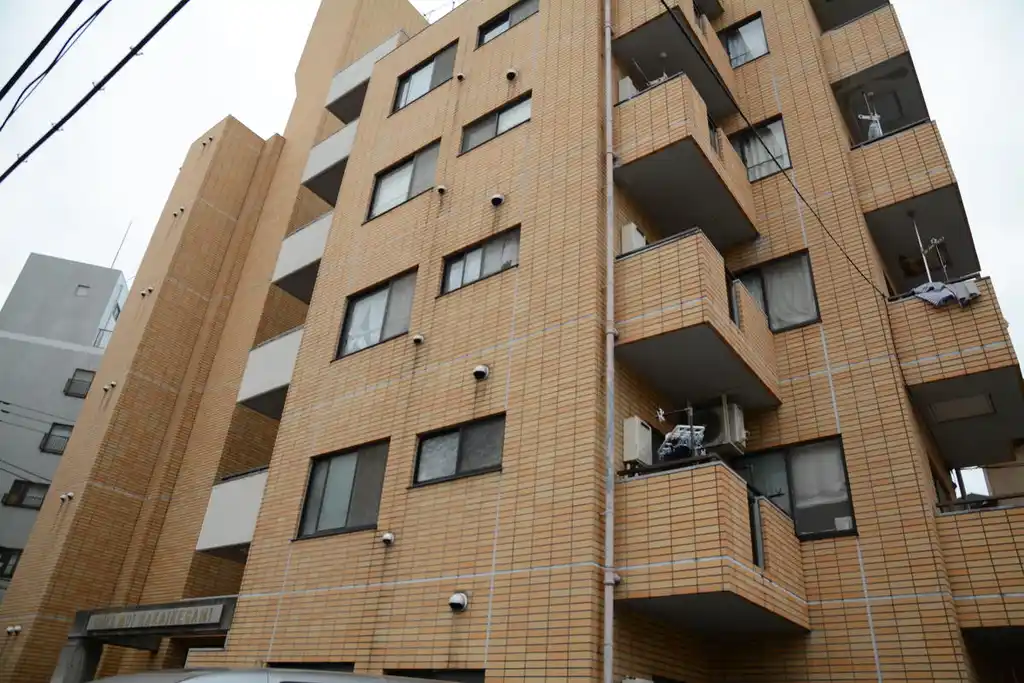 シェモア仲池上 外観