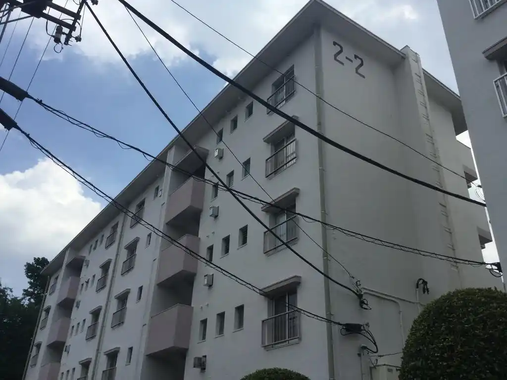 西三田団地2-2号棟 外観