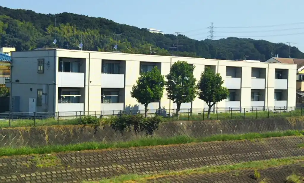 レビー 外観