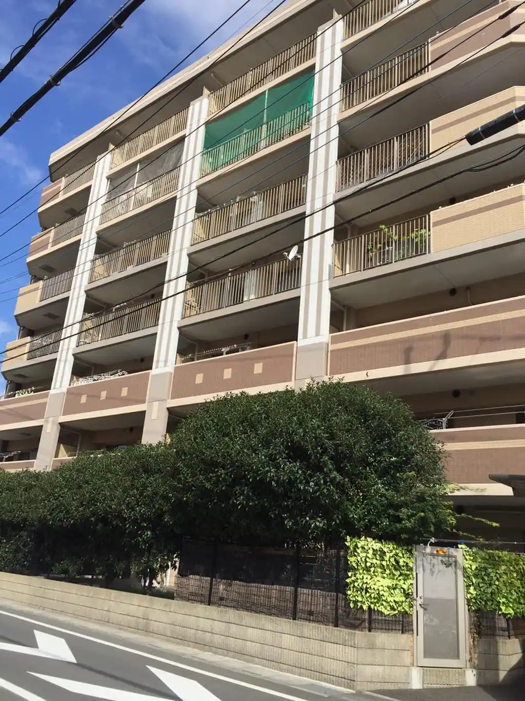 サンクレイドル東大宮 外観