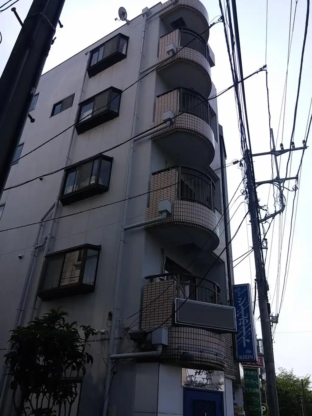 ペピート渡辺 外観