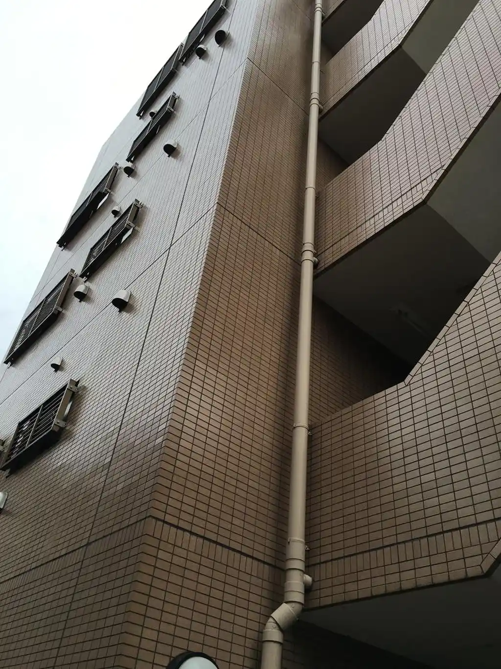 ラカーサモモイ 外観