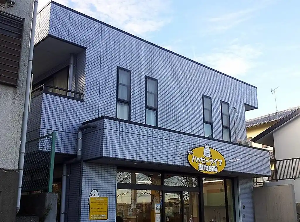 藤ハイツ 外観