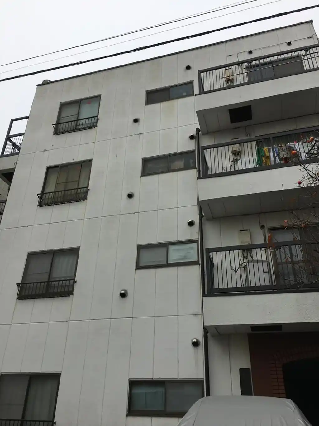 新井第3パティオ 外観