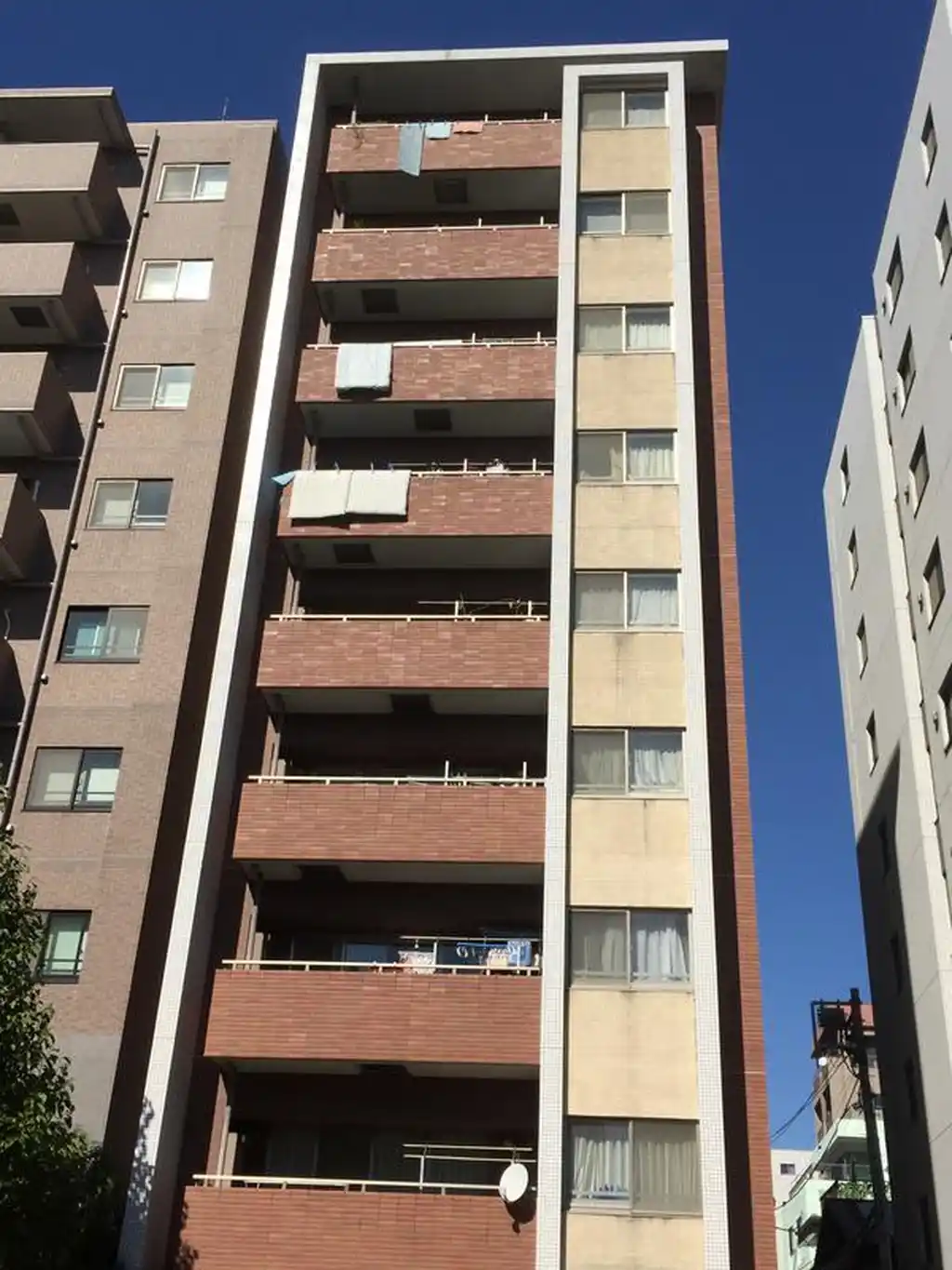 アスコットパーク錦糸町Grace 外観